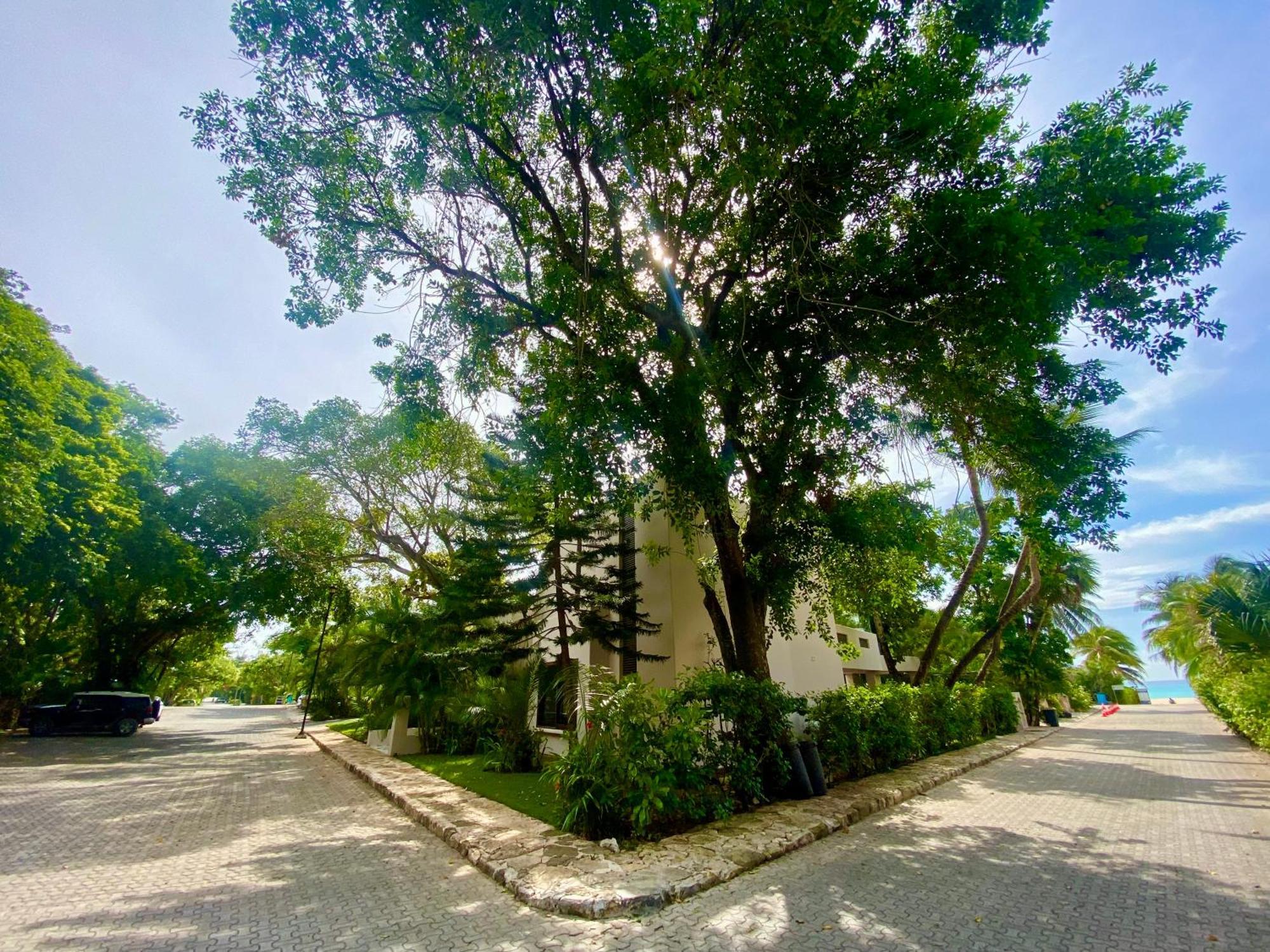 Villa Almendra Playacar 1 Playa del Carmen Eksteriør bilde